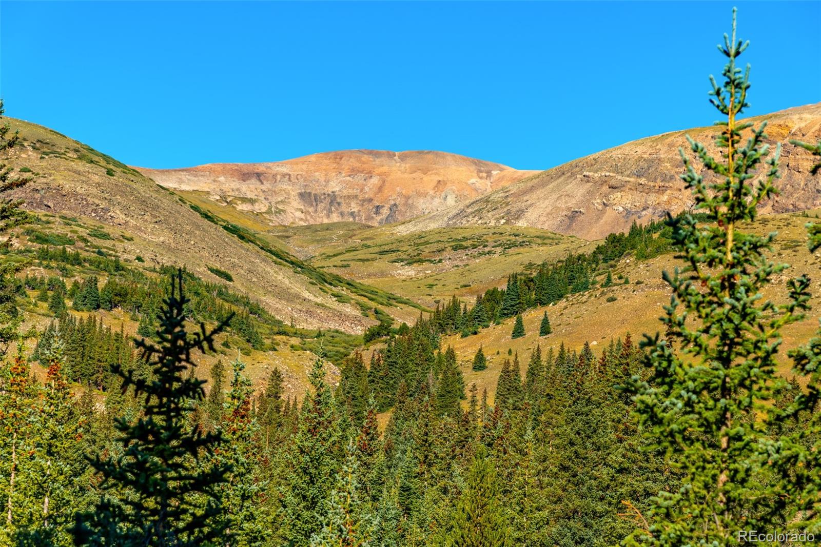 MLS Image #23 for 1989  roberts road,fairplay, Colorado
