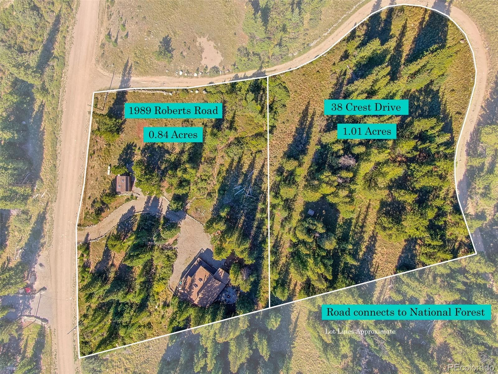 MLS Image #3 for 1989  roberts road,fairplay, Colorado