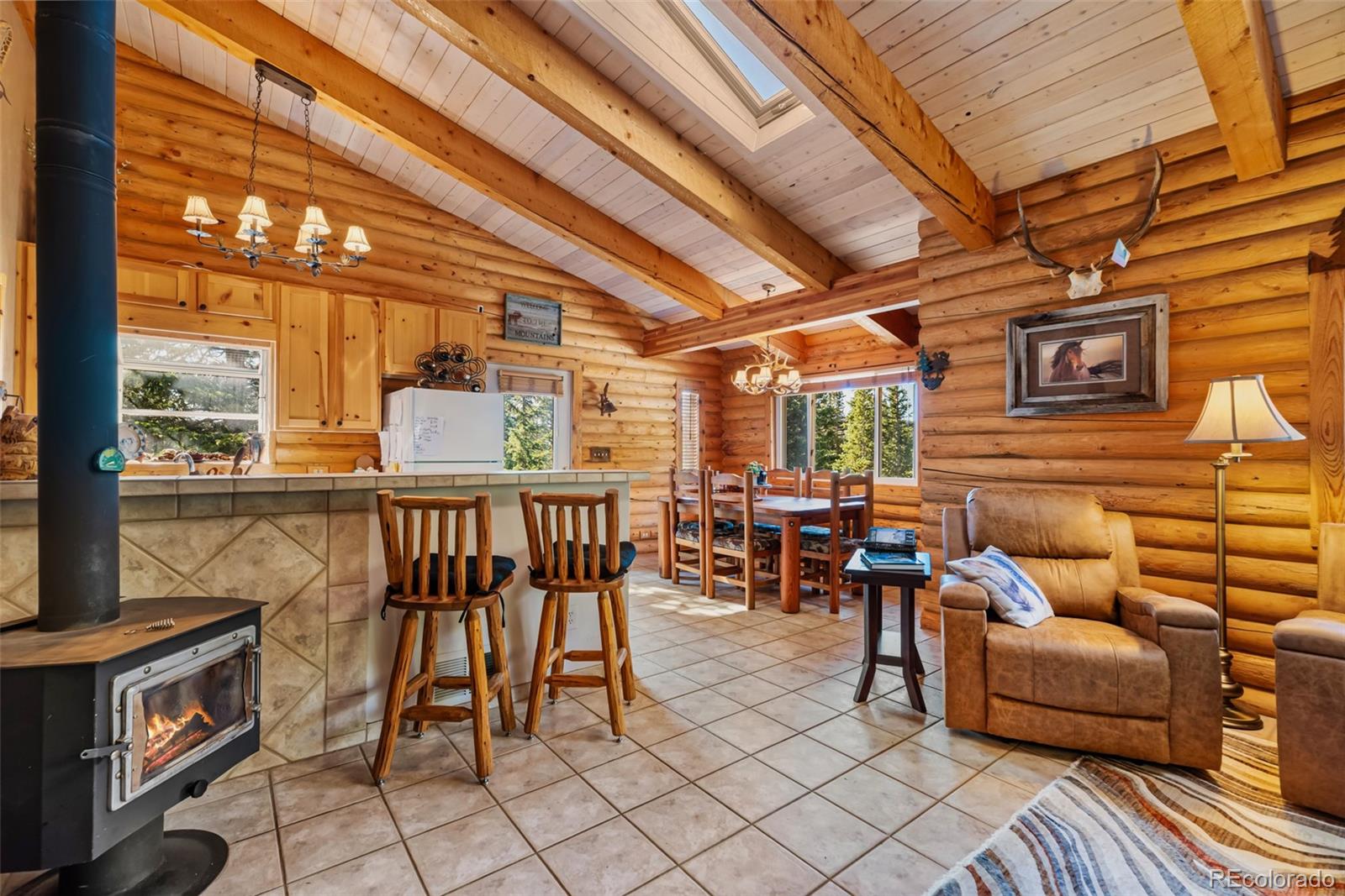 MLS Image #4 for 1989  roberts road,fairplay, Colorado