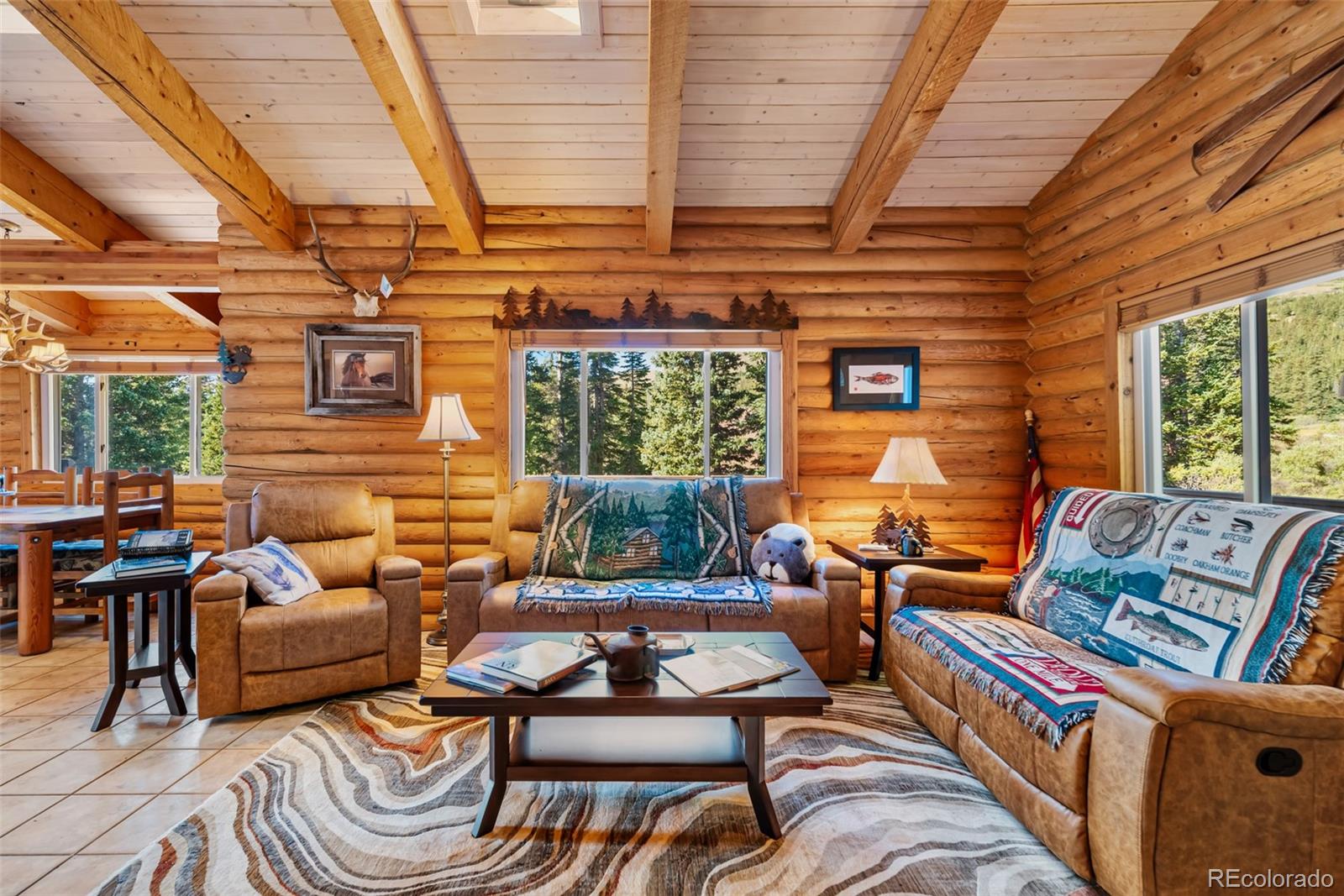 MLS Image #5 for 1989  roberts road,fairplay, Colorado