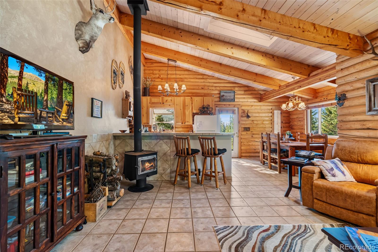 MLS Image #7 for 1989  roberts road,fairplay, Colorado