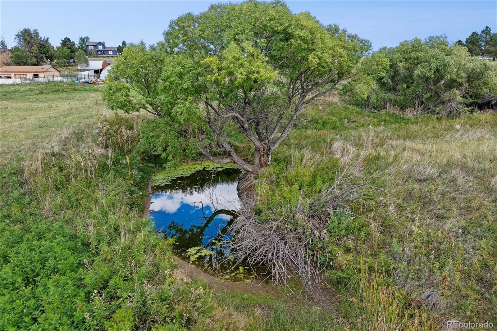 MLS Image #21 for 3426  pikes peak road,parker, Colorado