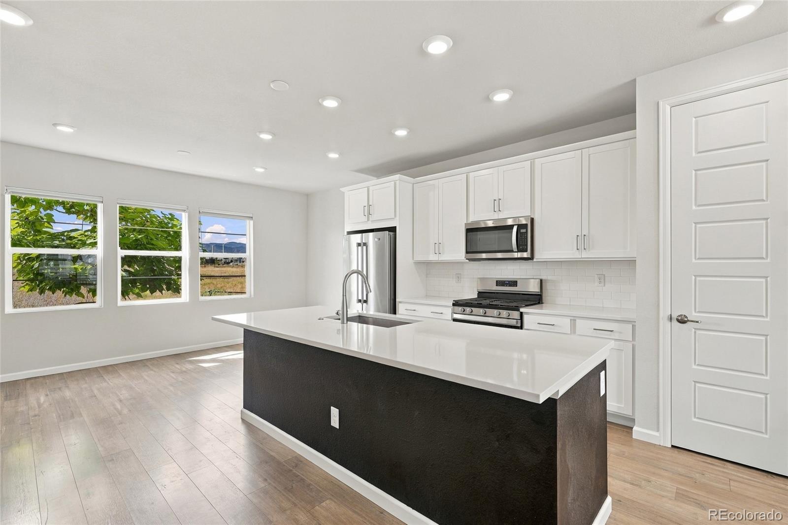 MLS Image #6 for 8806  fraser river loop,littleton, Colorado