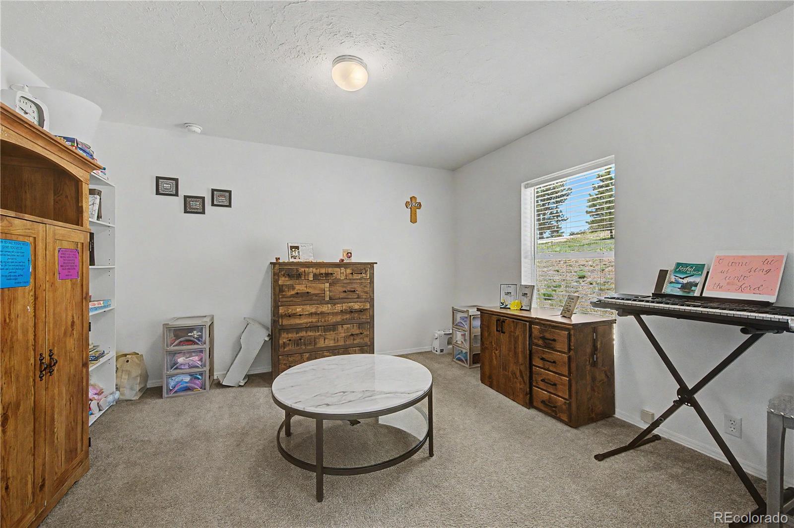 MLS Image #20 for 8668  county road 328 ,westcliffe, Colorado
