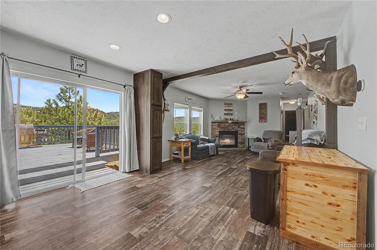 MLS Image #9 for 8668  county road 328 ,westcliffe, Colorado