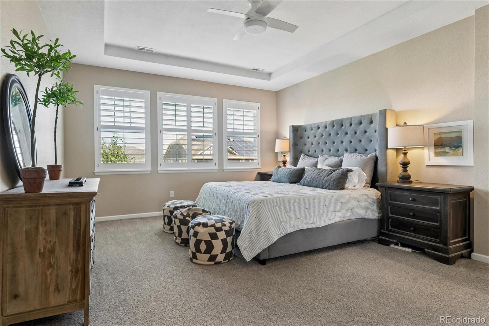 MLS Image #18 for 15125  caracas avenue,parker, Colorado