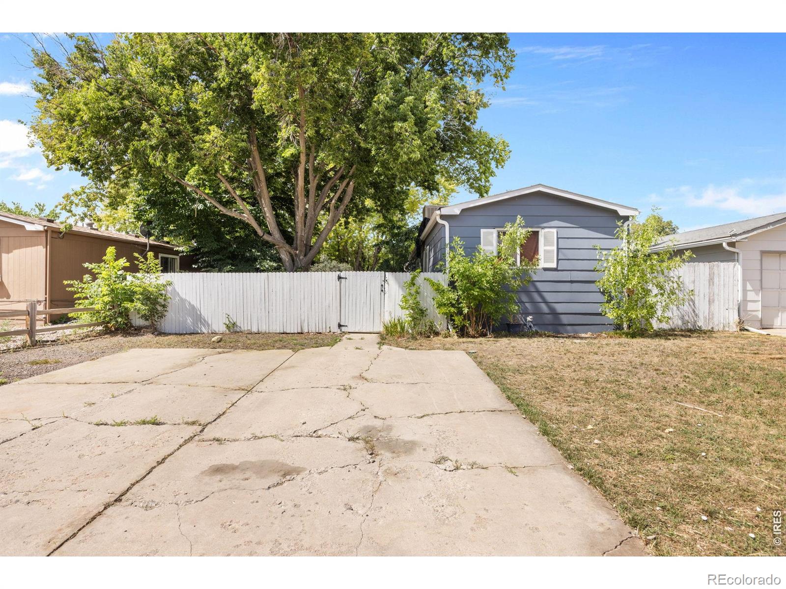 MLS Image #14 for 8505  mummy range drive,fort collins, Colorado