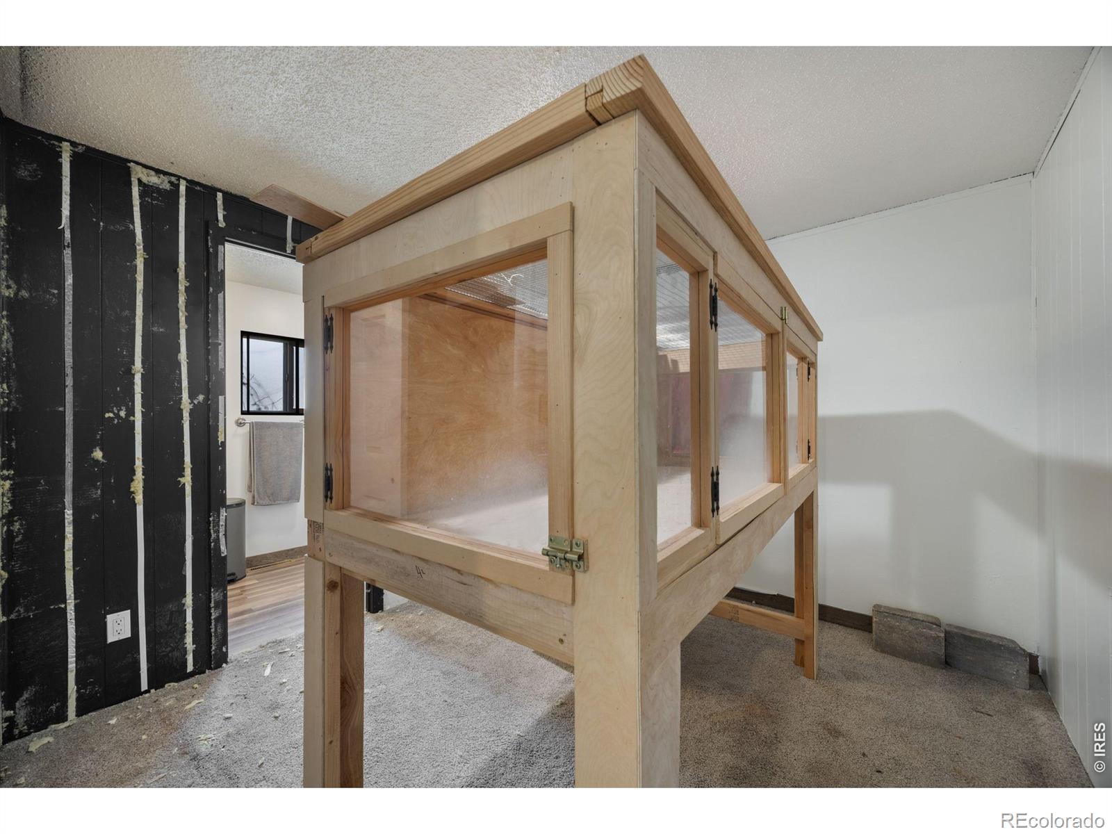 MLS Image #6 for 8505  mummy range drive,fort collins, Colorado