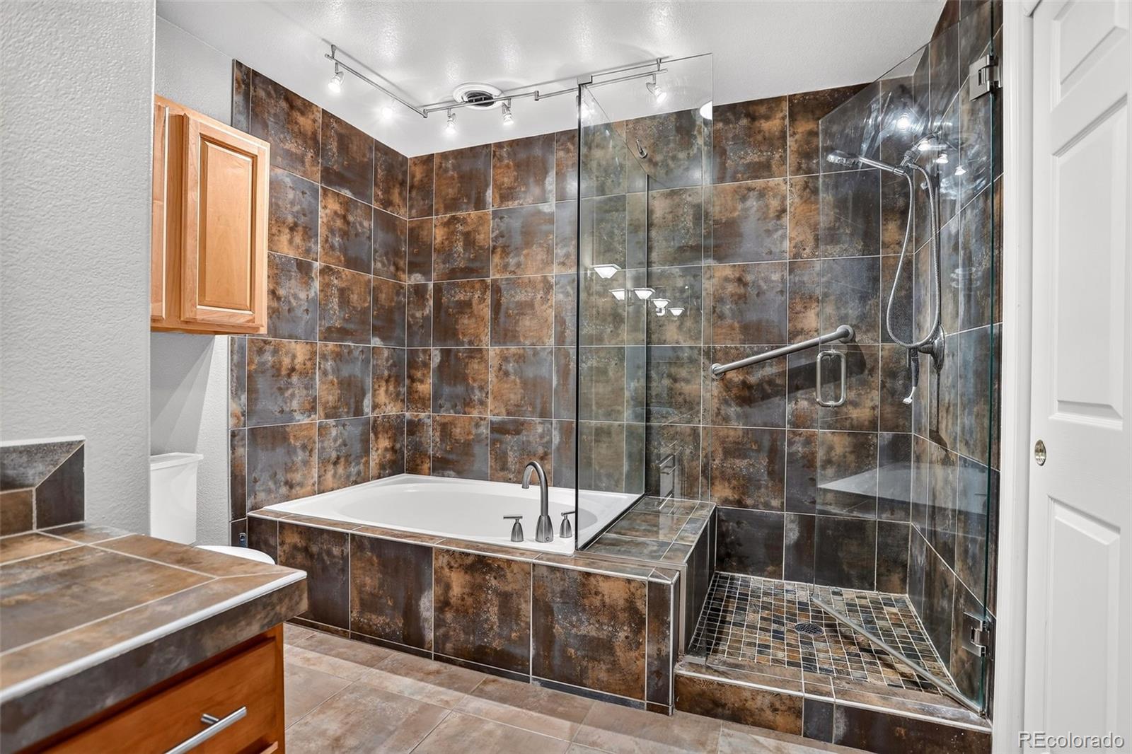 MLS Image #10 for 17933  aprils way,parker, Colorado