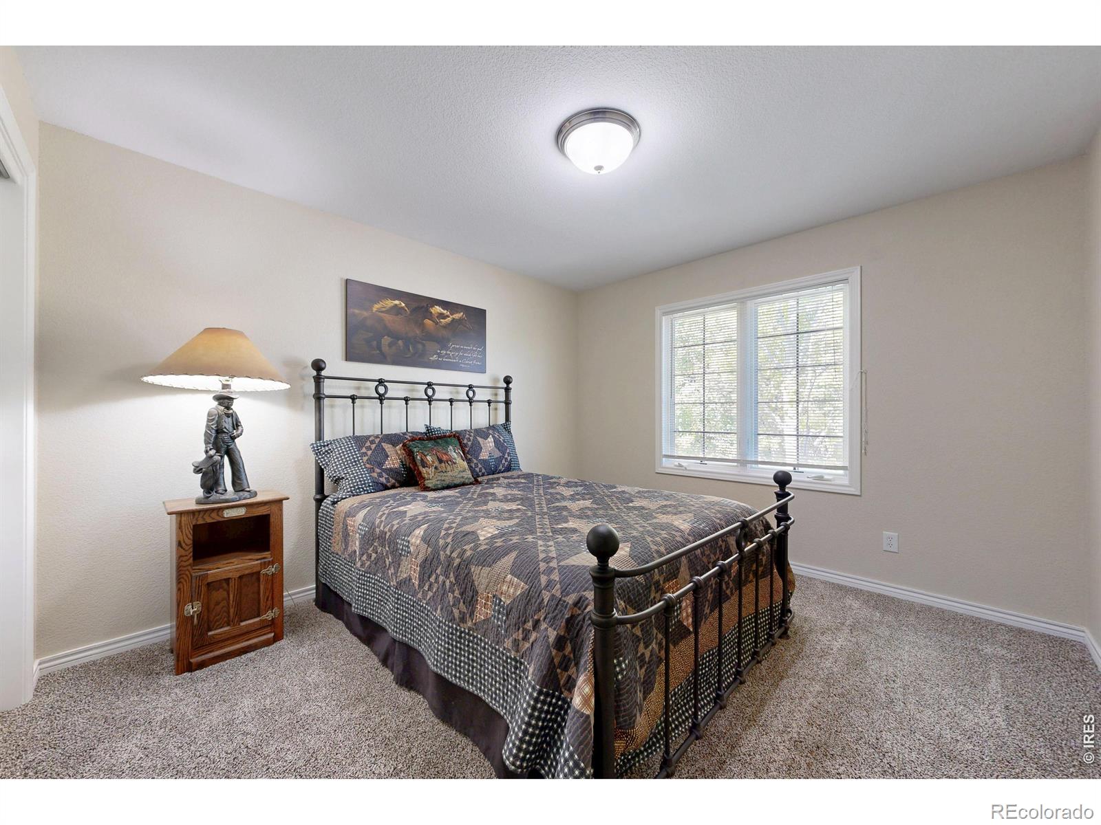 MLS Image #19 for 1591  landon court,windsor, Colorado
