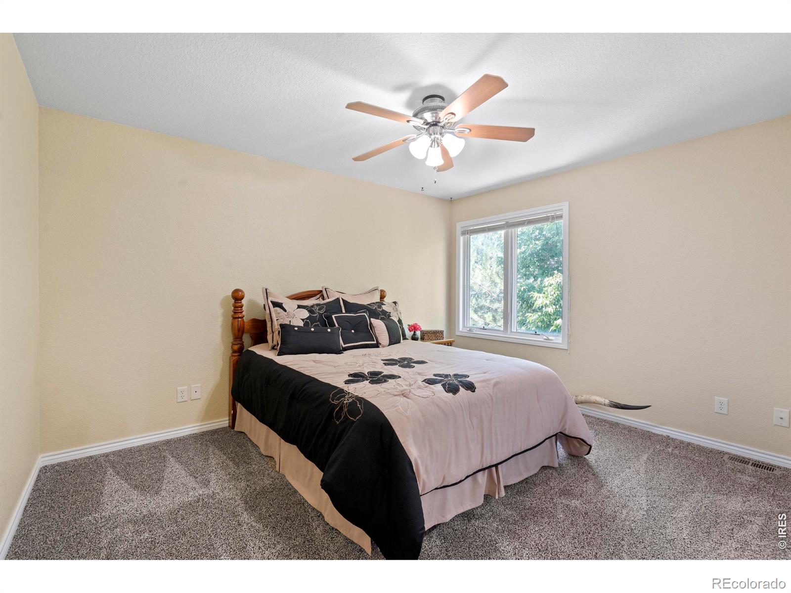 MLS Image #20 for 1591  landon court,windsor, Colorado