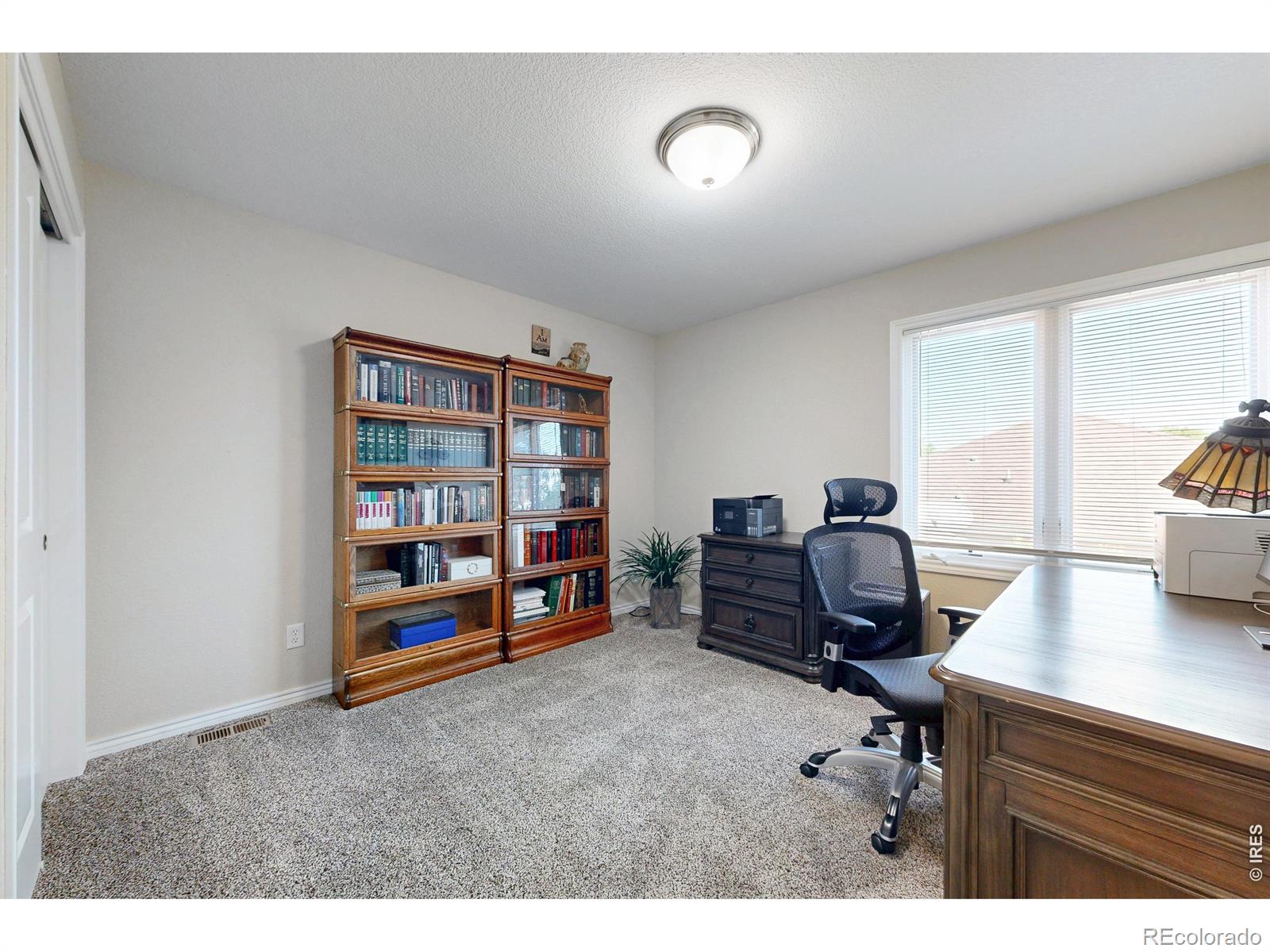 MLS Image #21 for 1591  landon court,windsor, Colorado