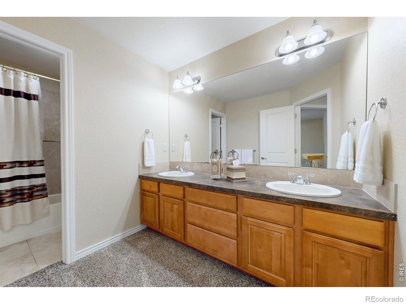 MLS Image #22 for 1591  landon court,windsor, Colorado