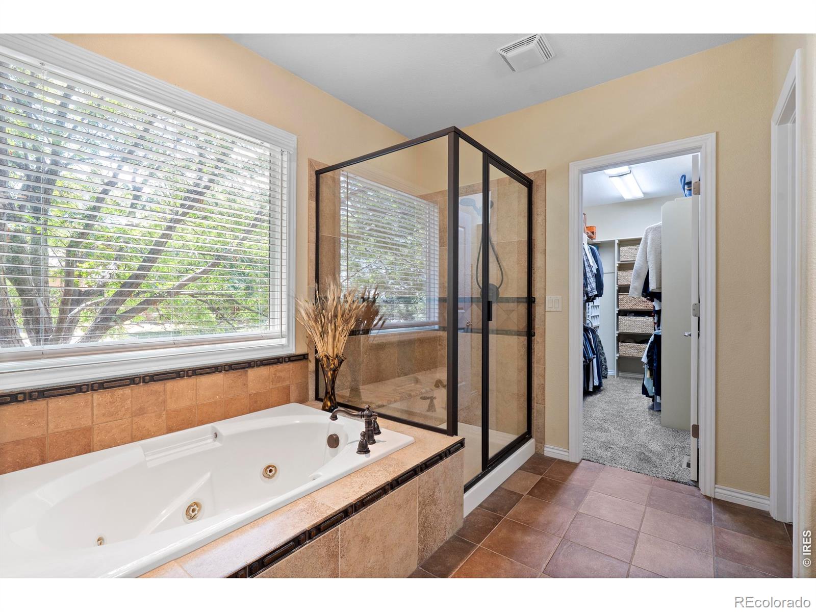 MLS Image #6 for 1591  landon court,windsor, Colorado
