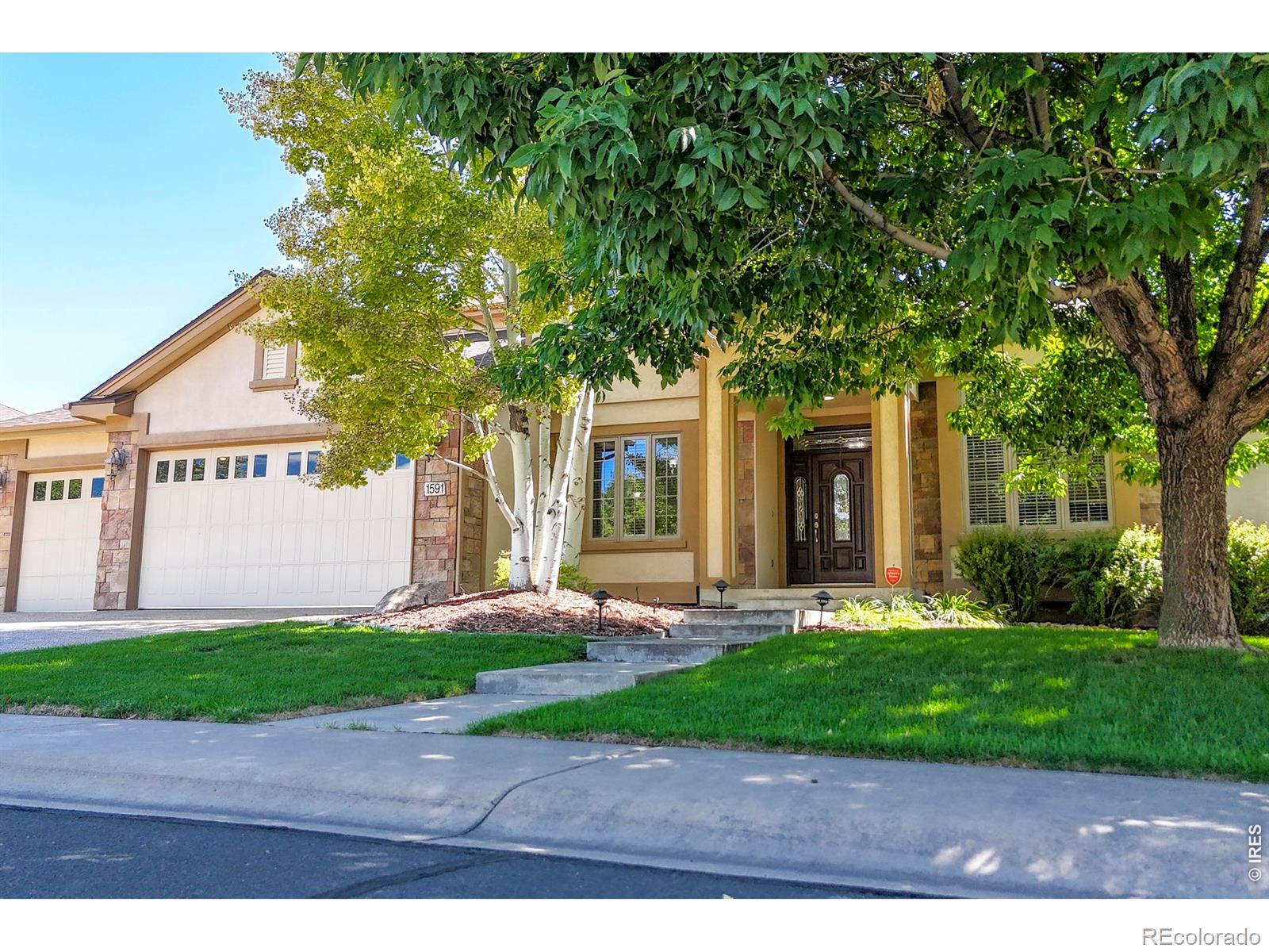 MLS Image #9 for 1591  landon court,windsor, Colorado