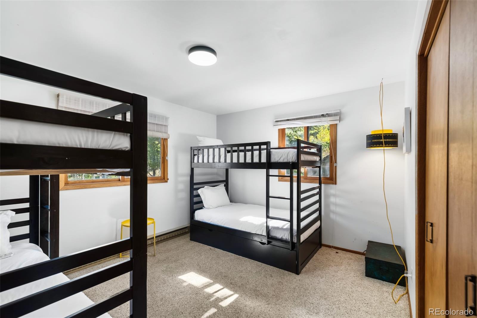 MLS Image #29 for 505  palomino drive,jefferson, Colorado
