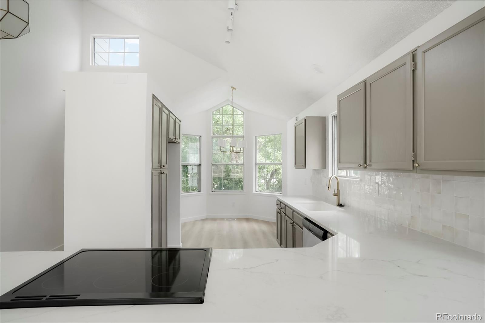 MLS Image #5 for 4778 n bearlily way,castle rock, Colorado