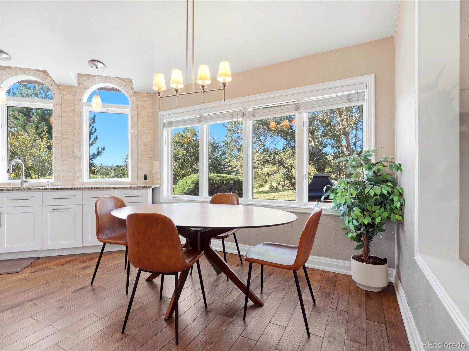 MLS Image #6 for 57 e oak hills drive,castle rock, Colorado