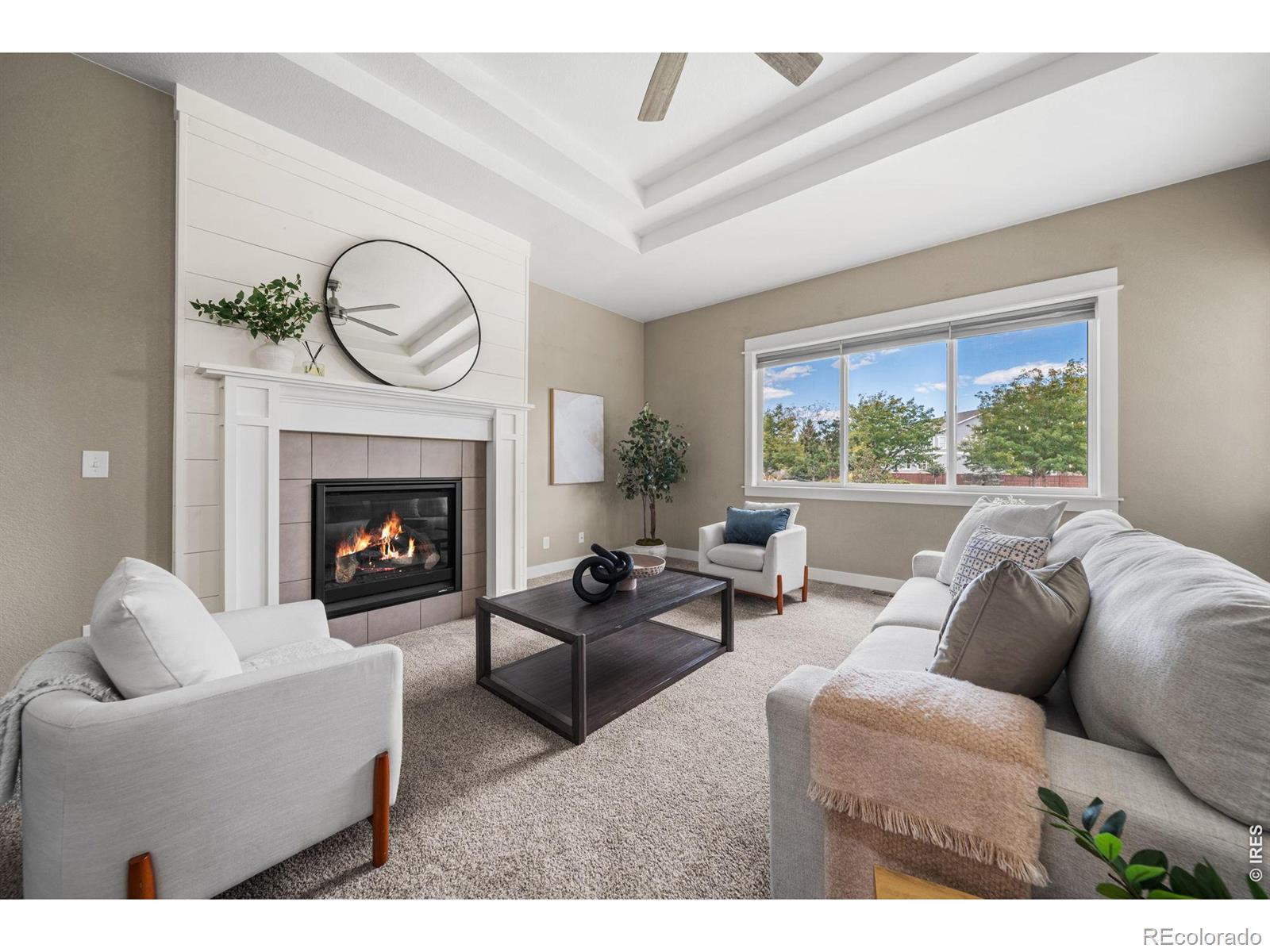MLS Image #10 for 5774  connor street,timnath, Colorado