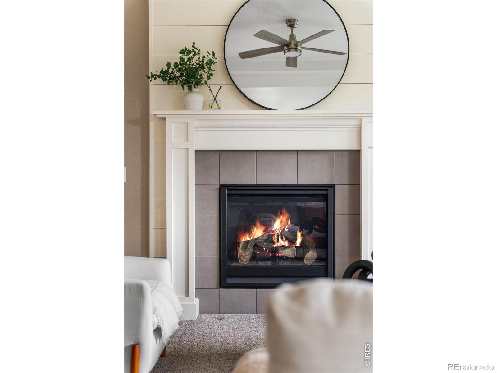MLS Image #12 for 5774  connor street,timnath, Colorado