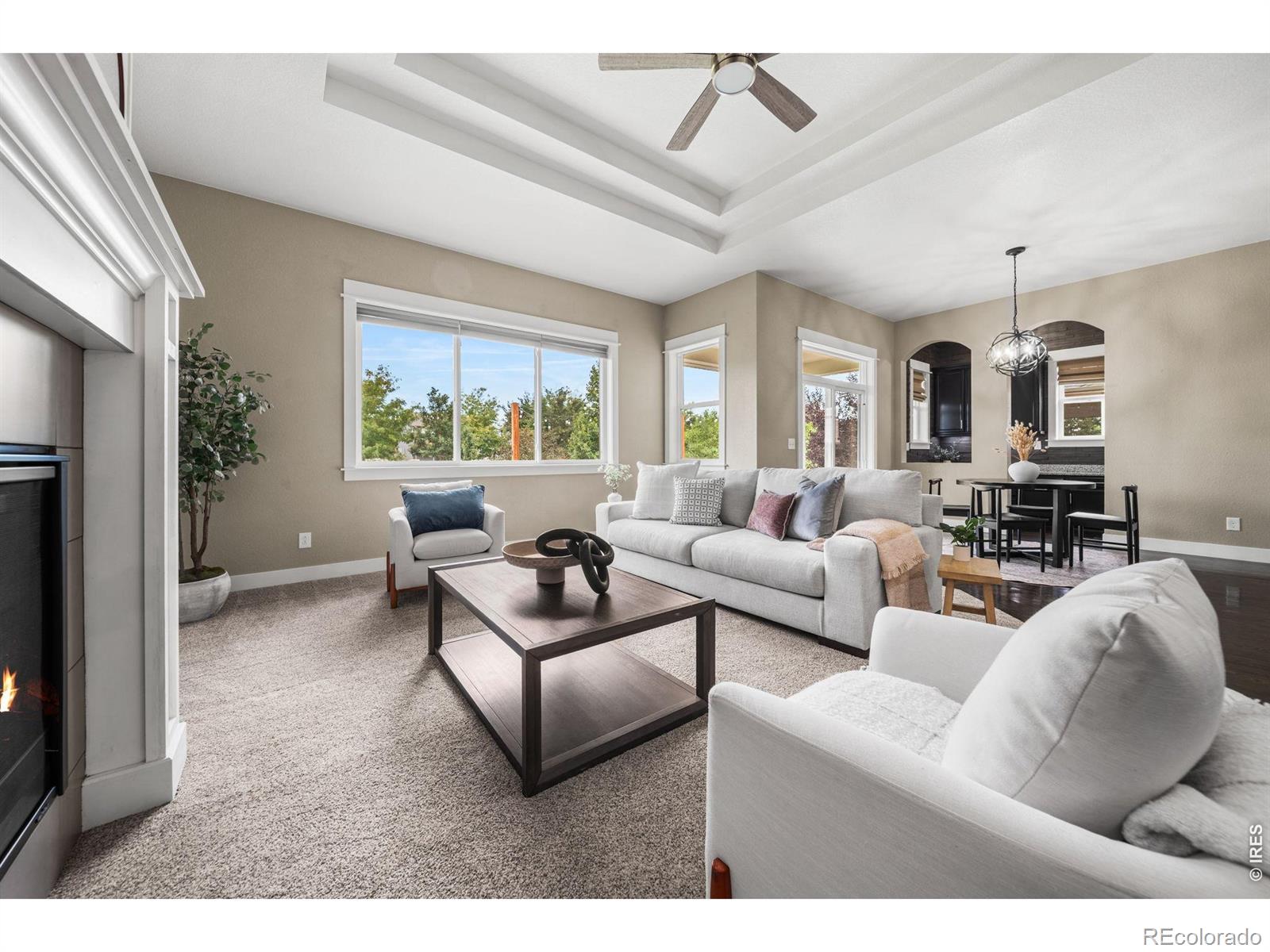 MLS Image #13 for 5774  connor street,timnath, Colorado