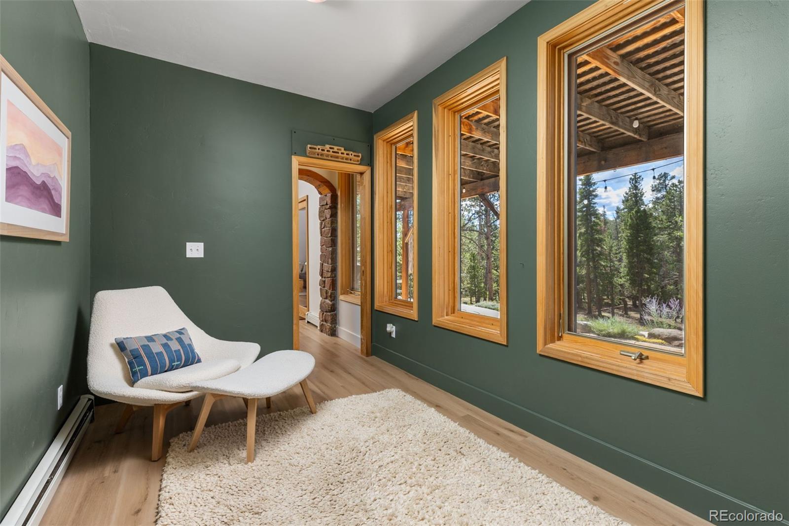 MLS Image #18 for 25  shoshoni way,nederland, Colorado