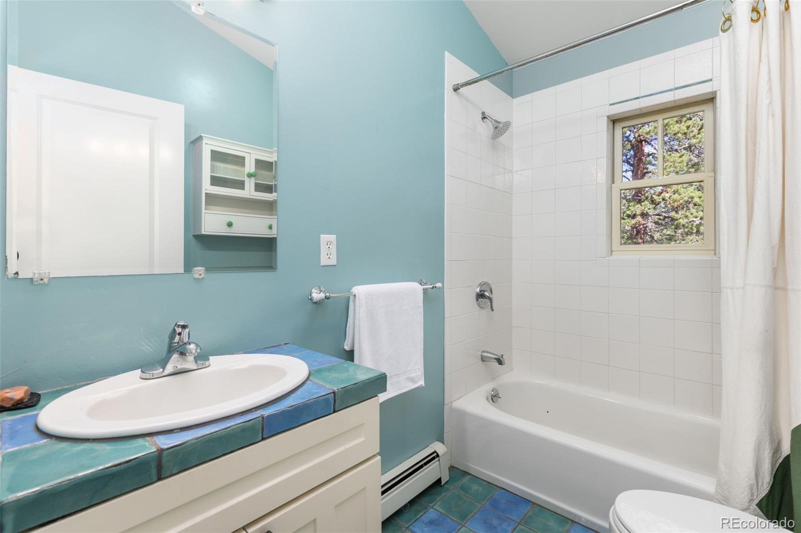 MLS Image #27 for 25  shoshoni way,nederland, Colorado