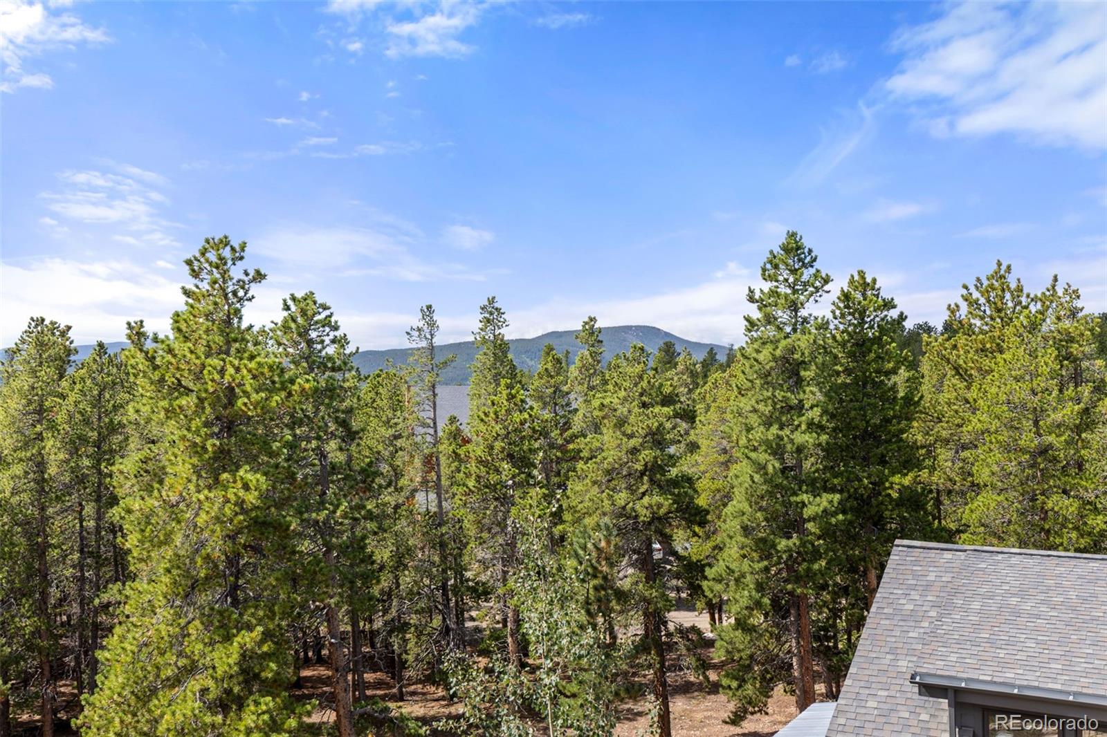 MLS Image #31 for 25  shoshoni way,nederland, Colorado