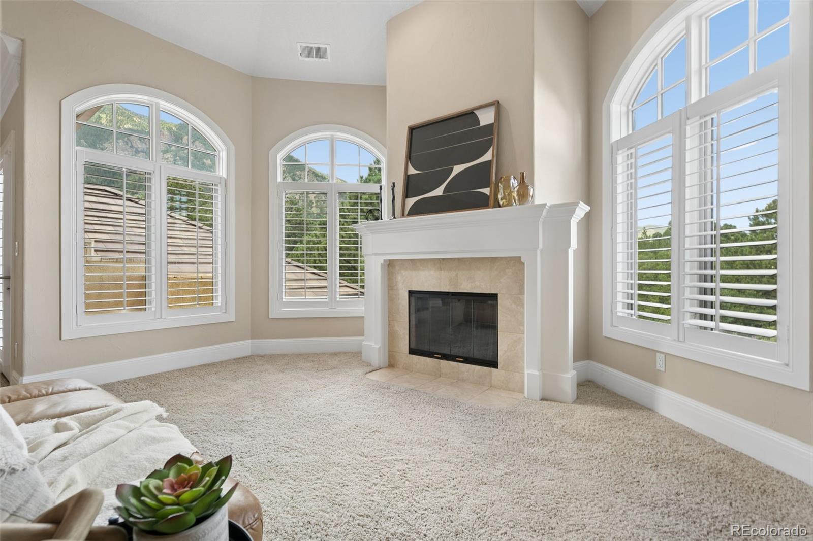 MLS Image #21 for 109 s marland road,colorado springs, Colorado