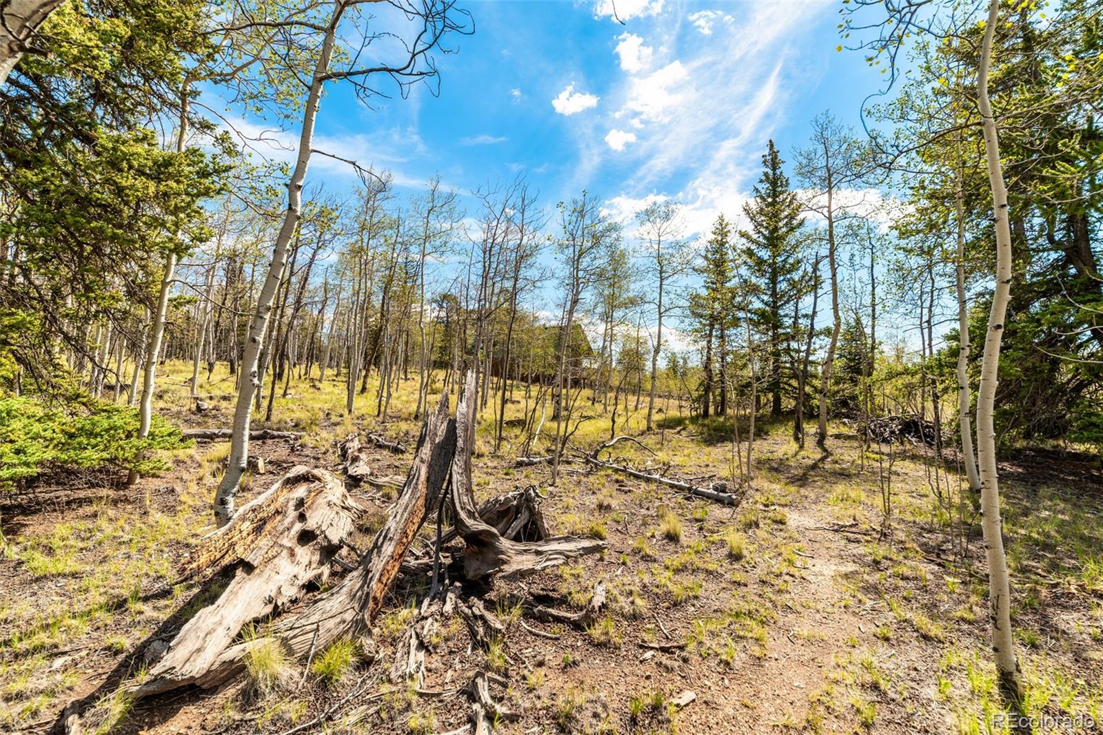 MLS Image #12 for 485  longbow drive,como, Colorado