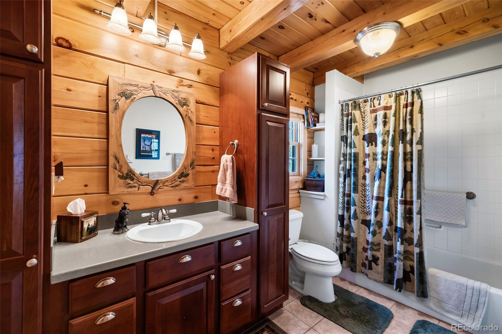 MLS Image #2 for 485  longbow drive,como, Colorado