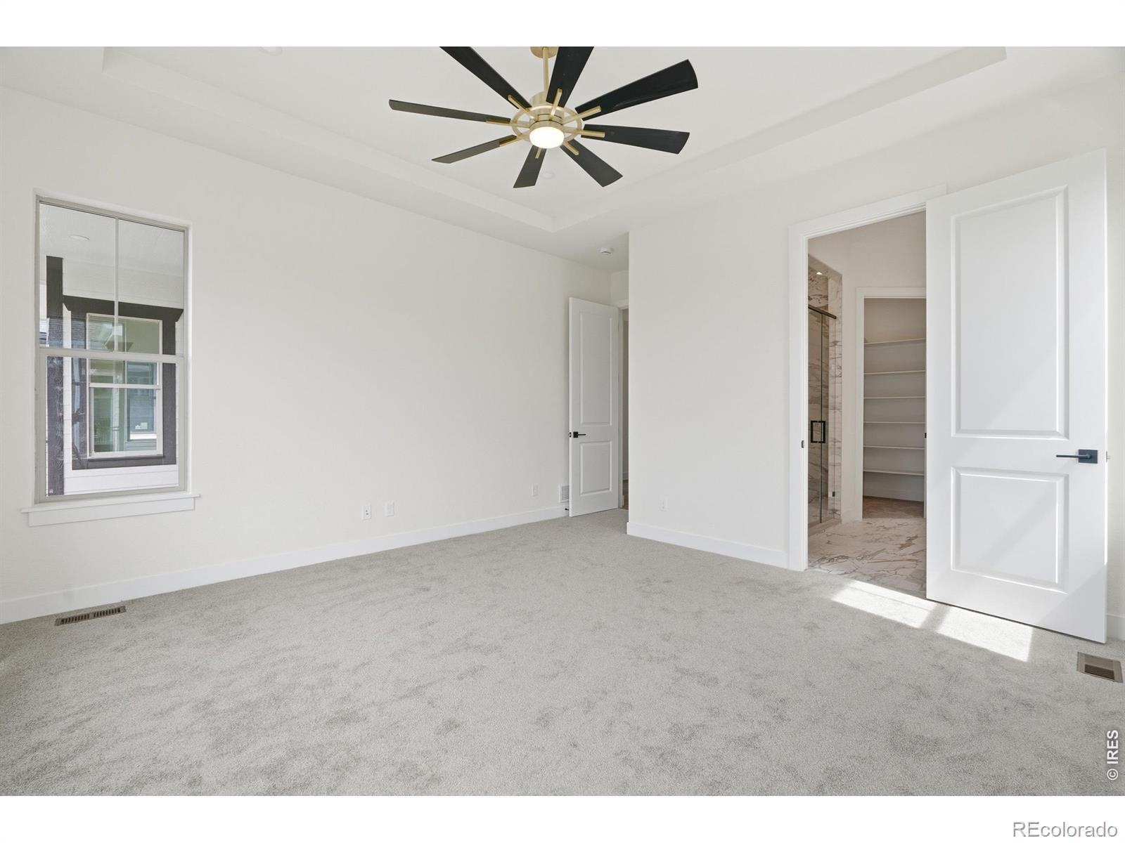 MLS Image #7 for 8463  annapolis drive,windsor, Colorado
