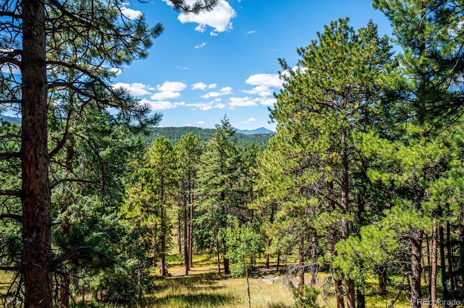 MLS Image #17 for 8281  grizzly way,evergreen, Colorado