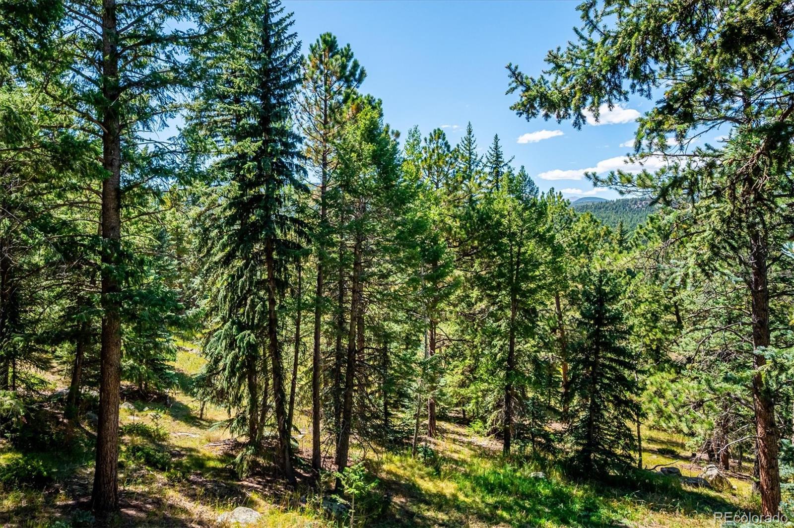 MLS Image #4 for 8281  grizzly way,evergreen, Colorado