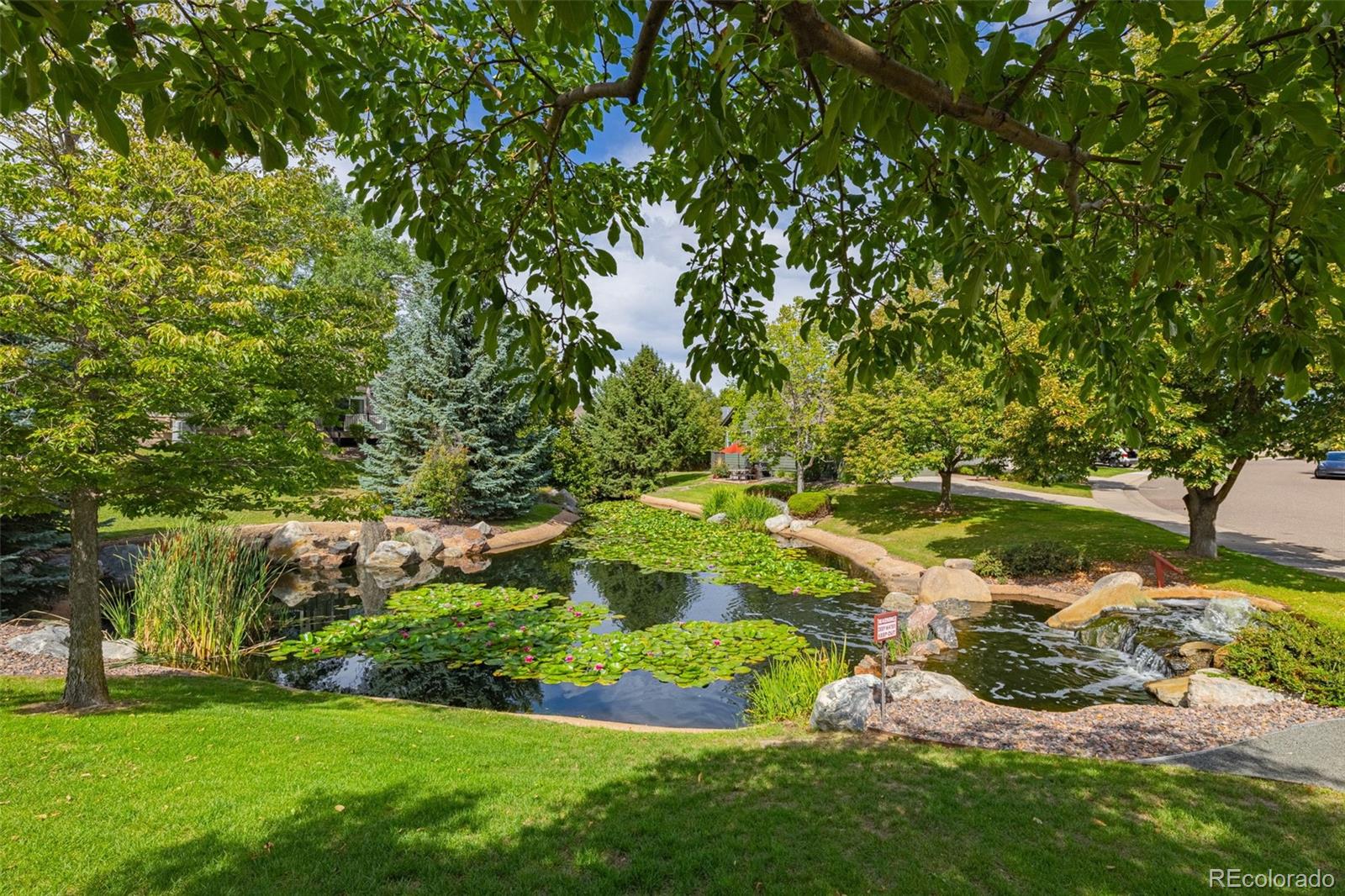 MLS Image #9 for 6707  lupine circle,arvada, Colorado