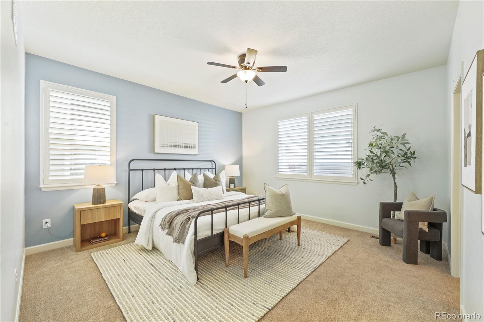 MLS Image #18 for 3973  john court,castle rock, Colorado