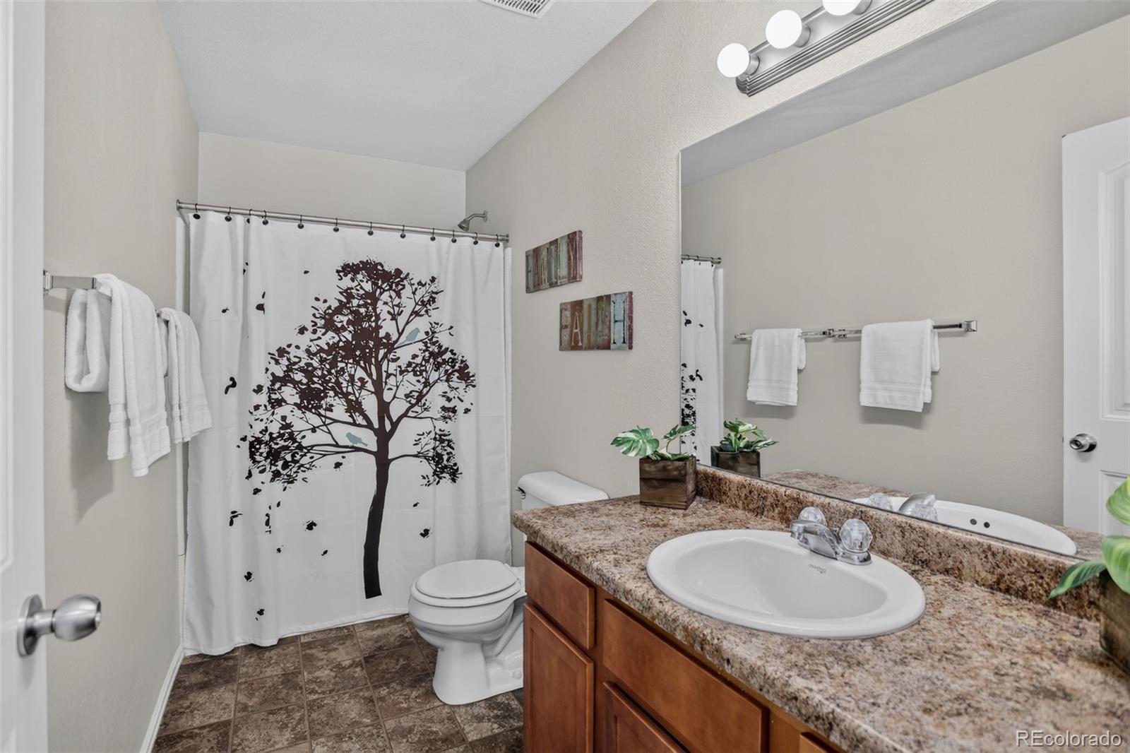 MLS Image #12 for 3715  chia drive,colorado springs, Colorado