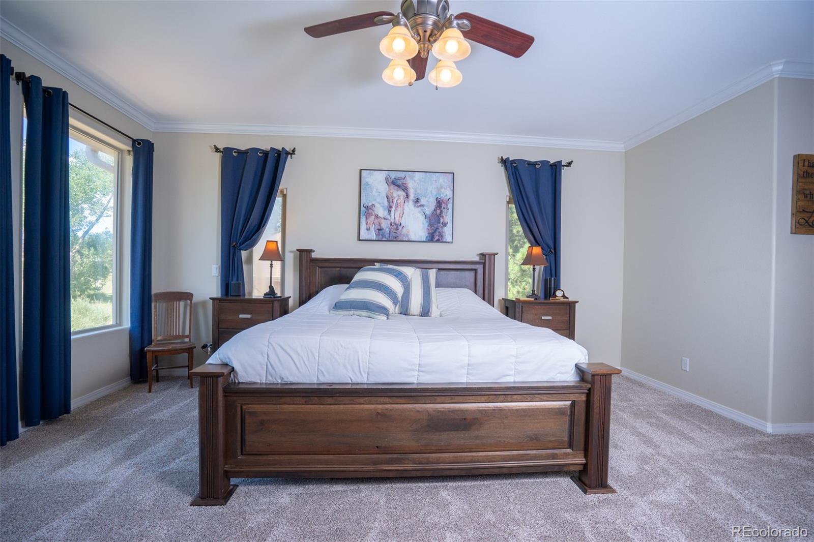 MLS Image #15 for 11148  shaugnessy road,black forest, Colorado