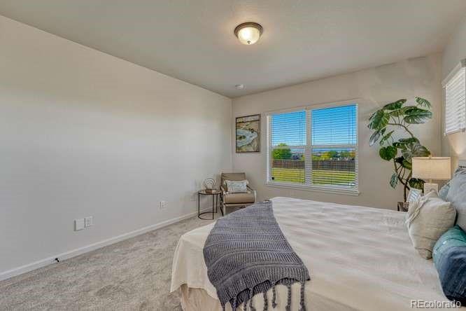 MLS Image #12 for 11940  barrentine loop,parker, Colorado