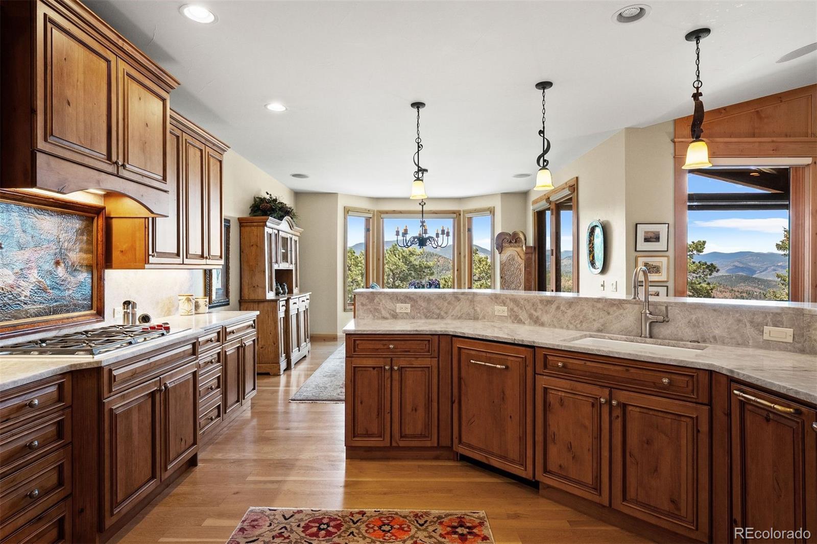 MLS Image #12 for 1007  nob hill road,evergreen, Colorado