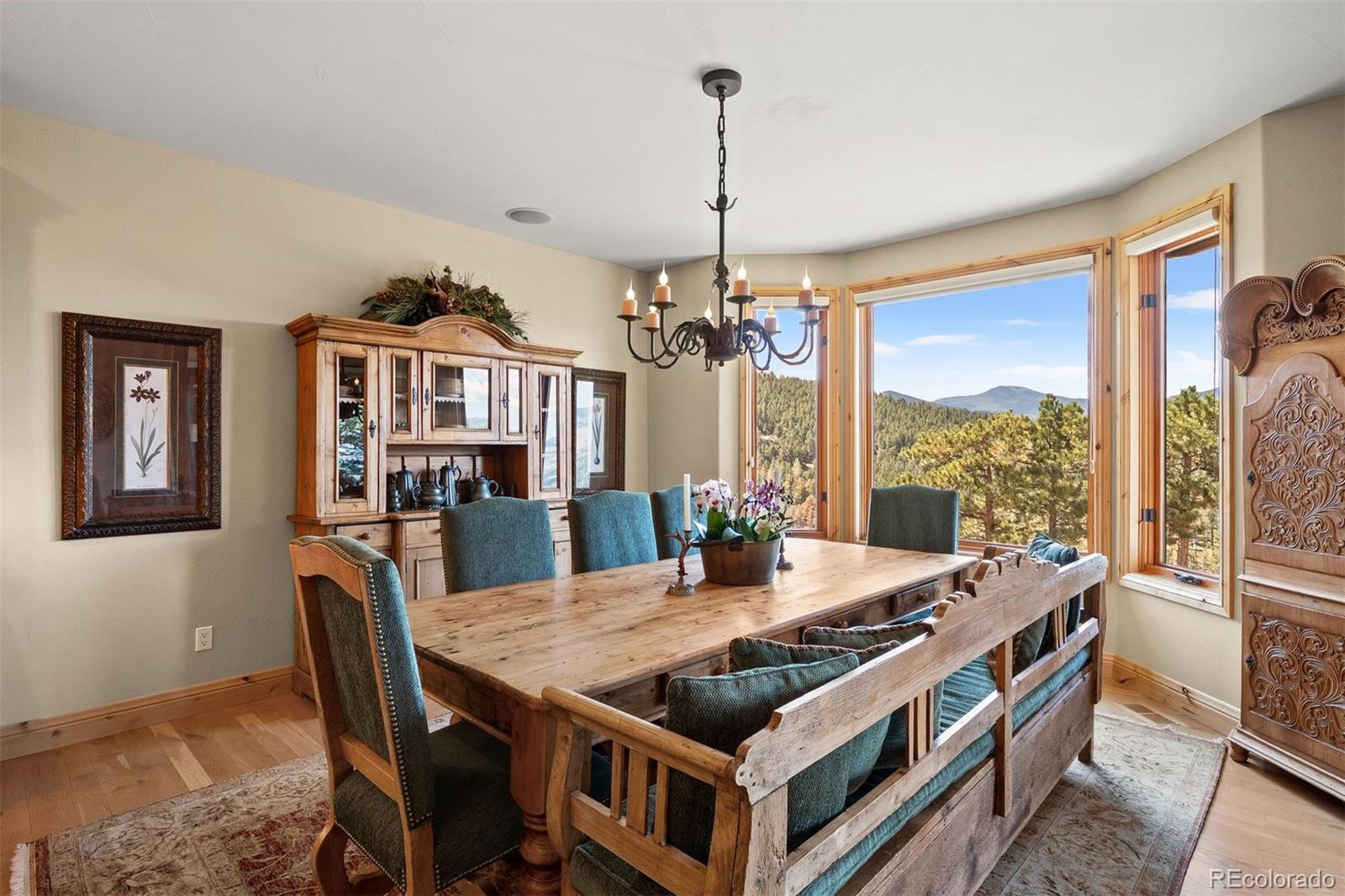 MLS Image #17 for 1007  nob hill road,evergreen, Colorado