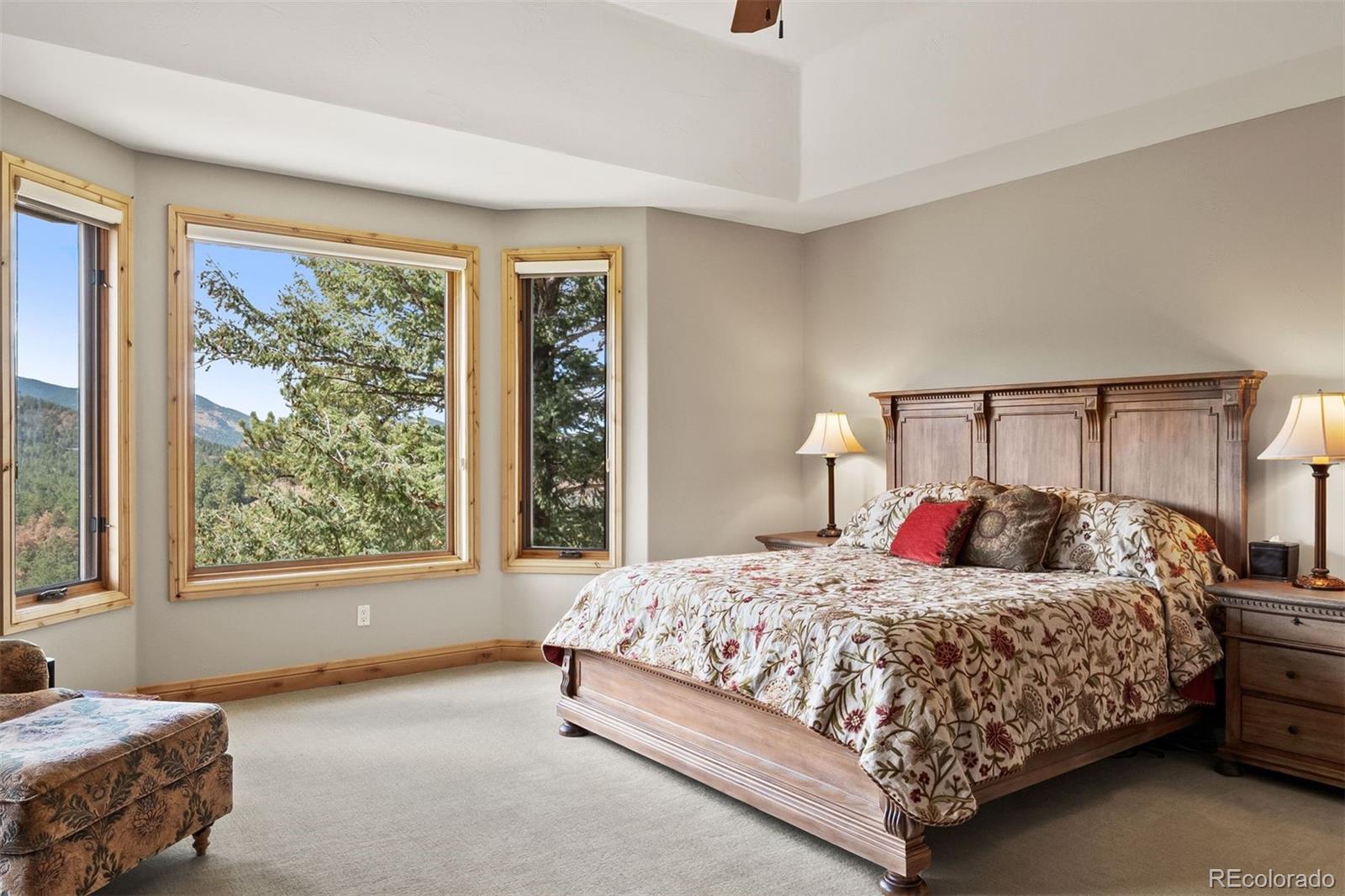 MLS Image #22 for 1007  nob hill road,evergreen, Colorado