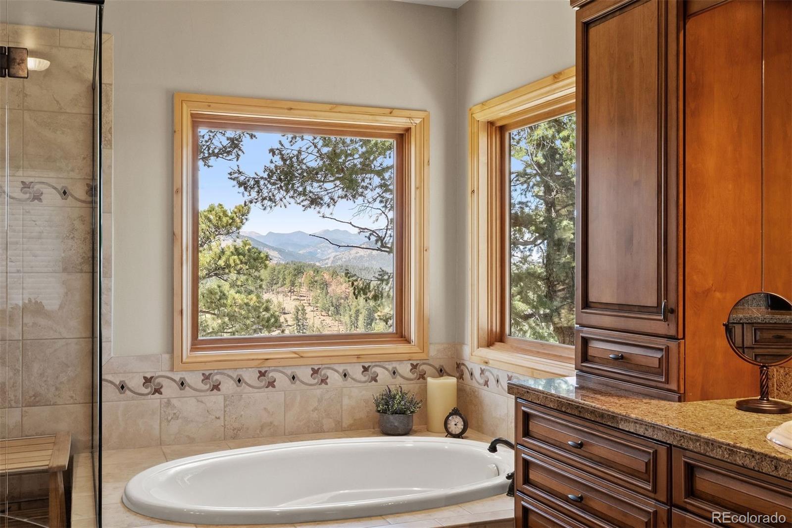MLS Image #24 for 1007  nob hill road,evergreen, Colorado
