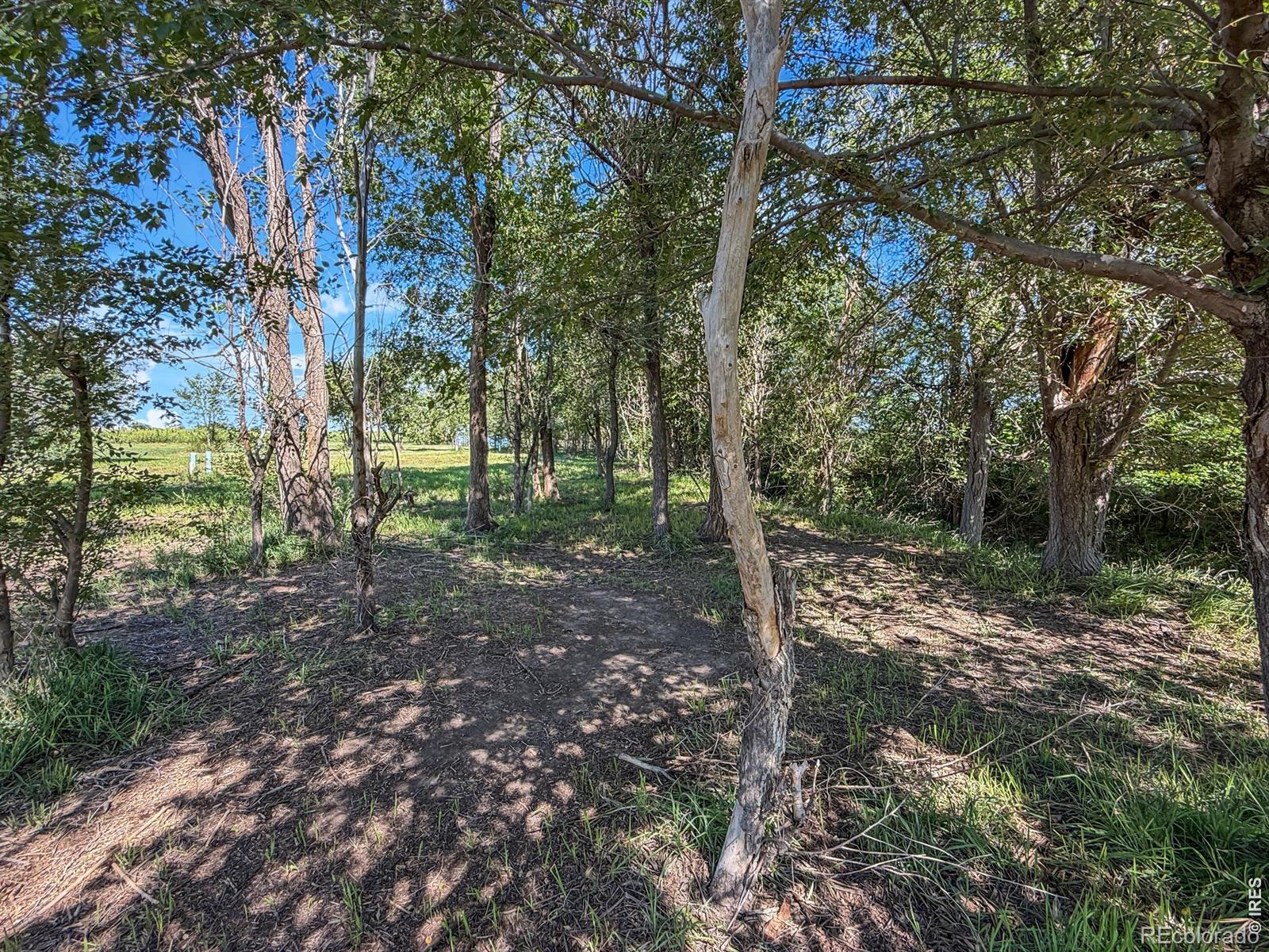 MLS Image #34 for 19535  county road 34 ,sterling, Colorado
