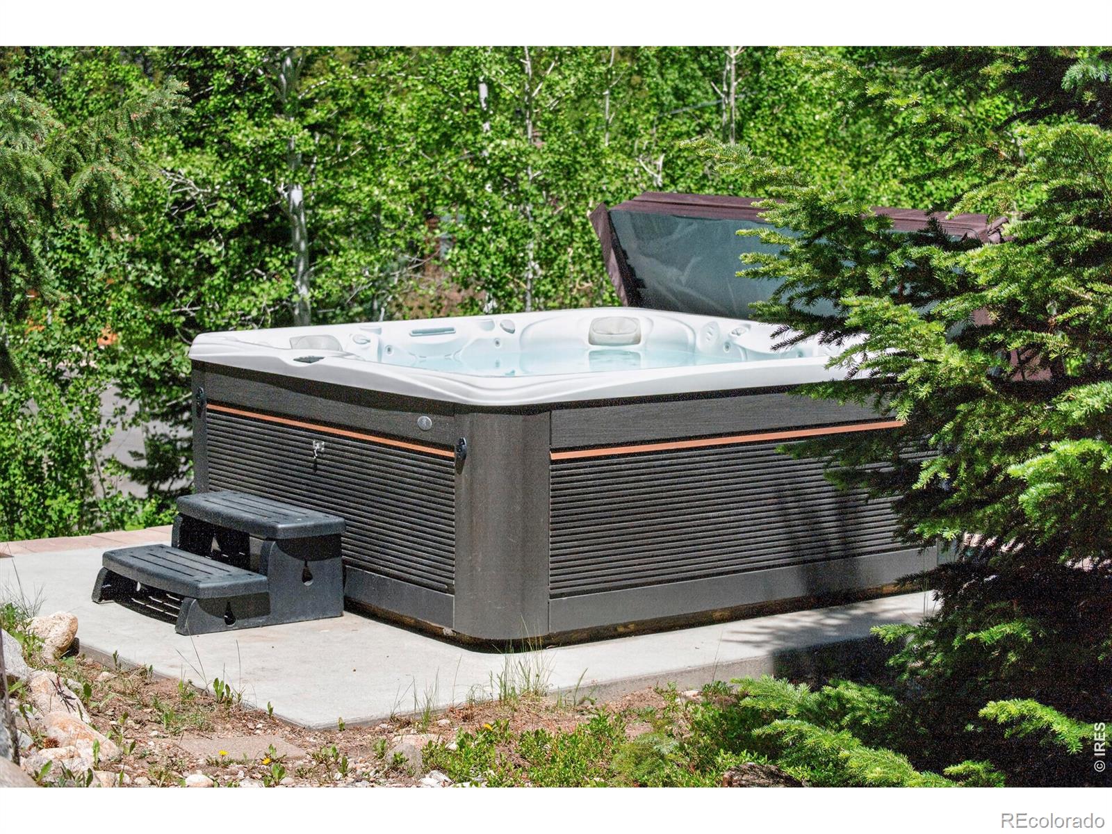 MLS Image #30 for 310  arapahoe road,winter park, Colorado