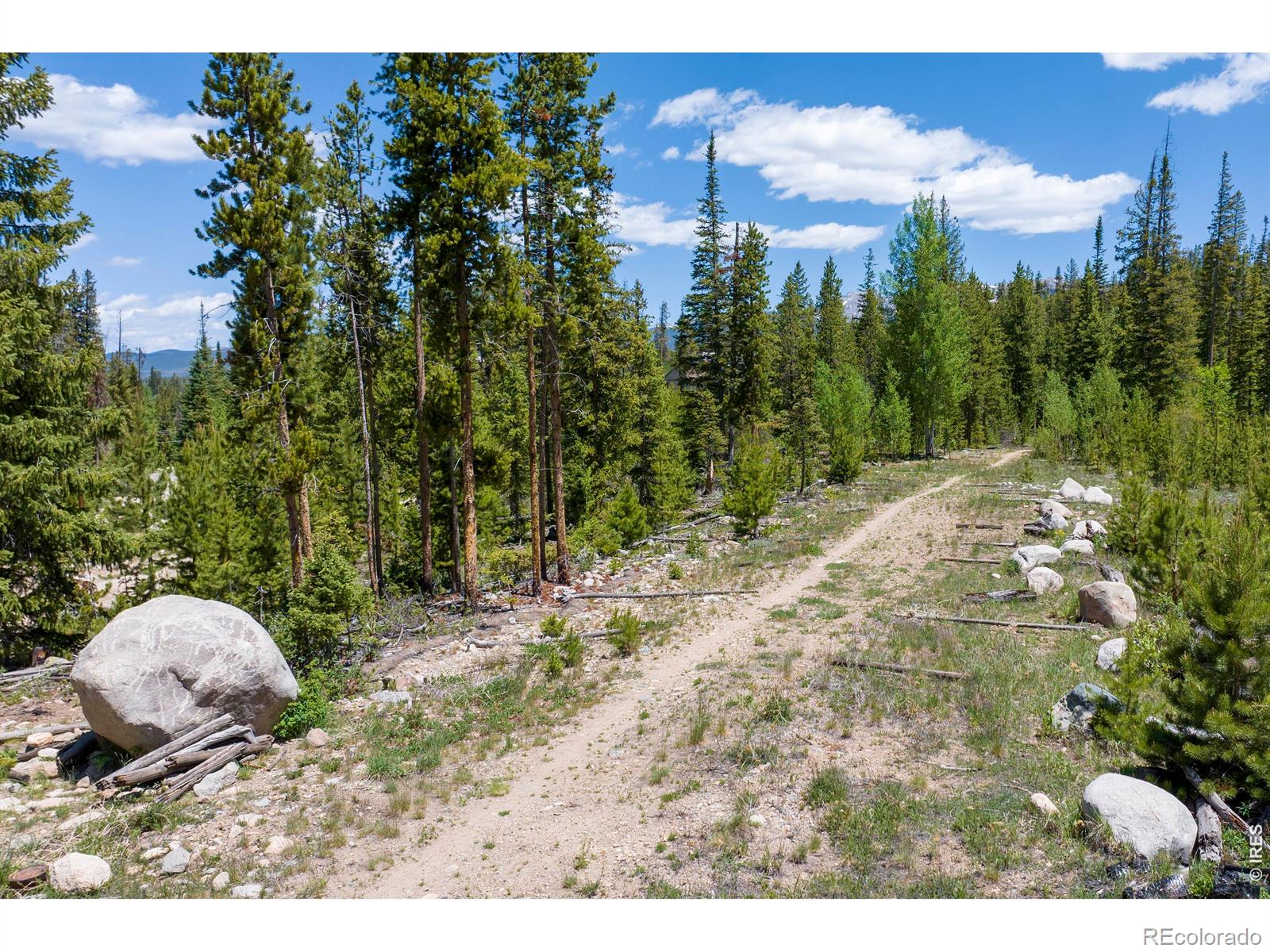 MLS Image #35 for 310  arapahoe road,winter park, Colorado