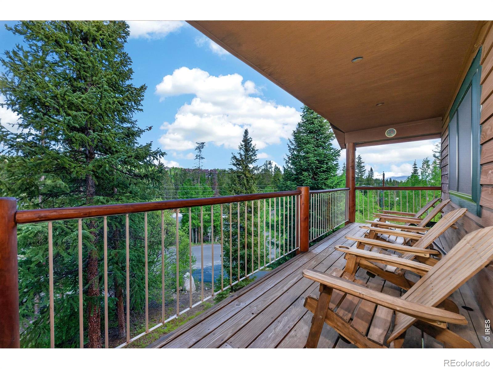 MLS Image #6 for 310  arapahoe road,winter park, Colorado