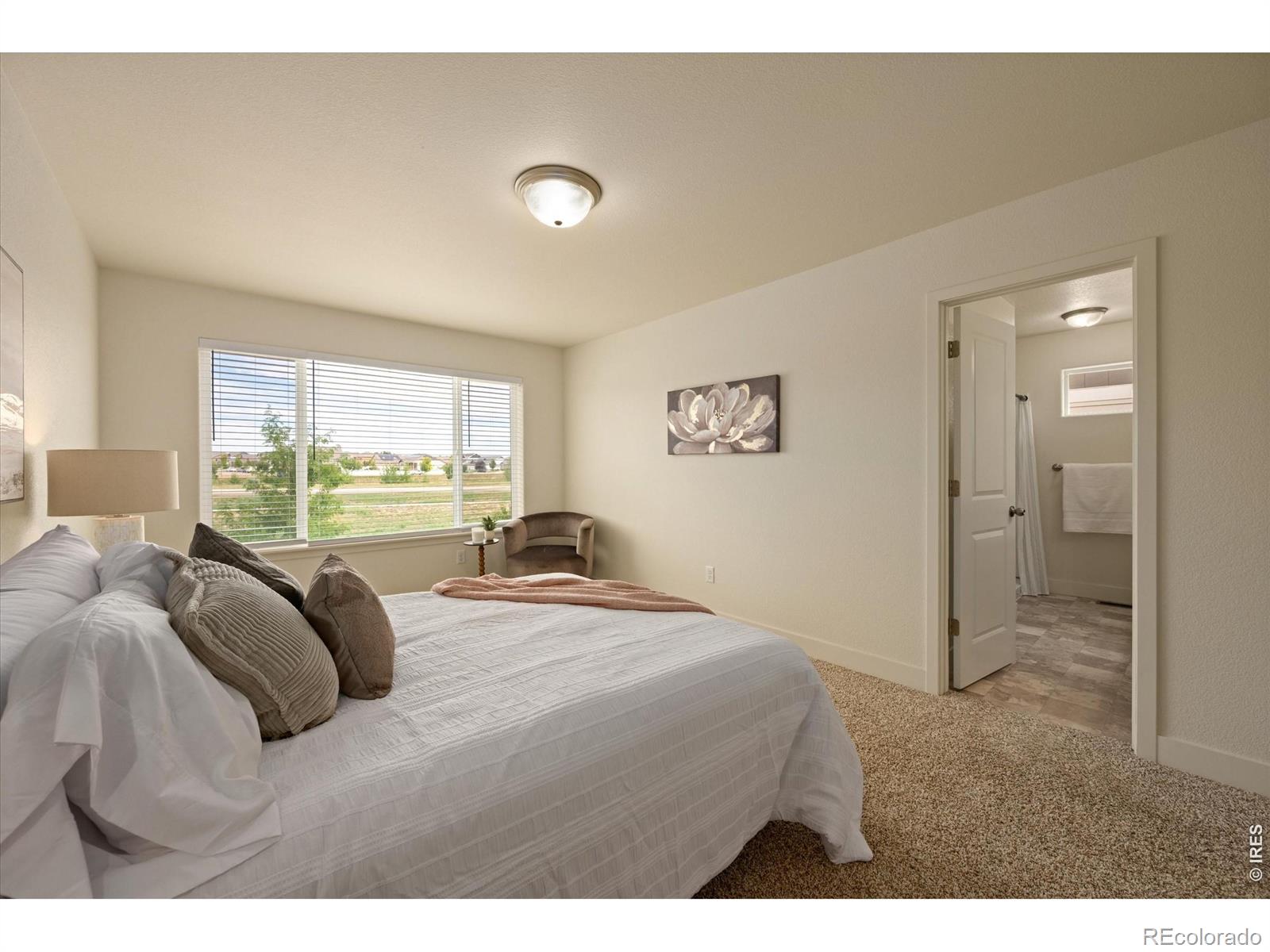 MLS Image #18 for 819  forest canyon road,severance, Colorado