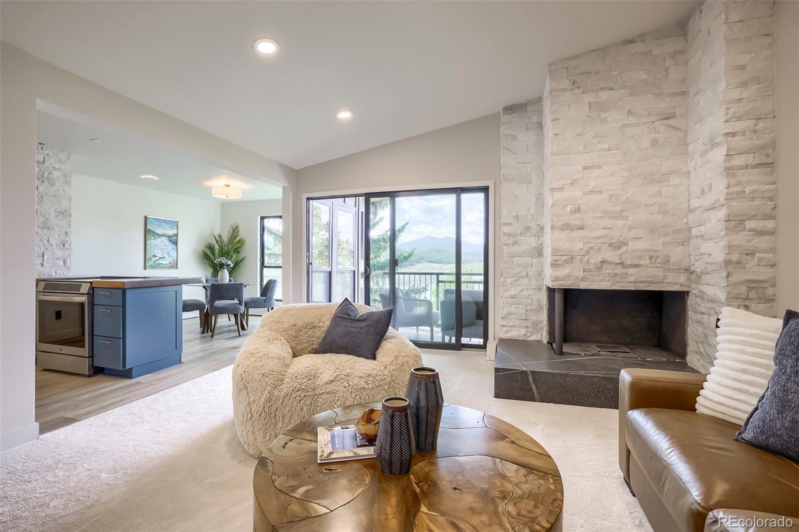 MLS Image #6 for 160 e la bonte ,dillon, Colorado
