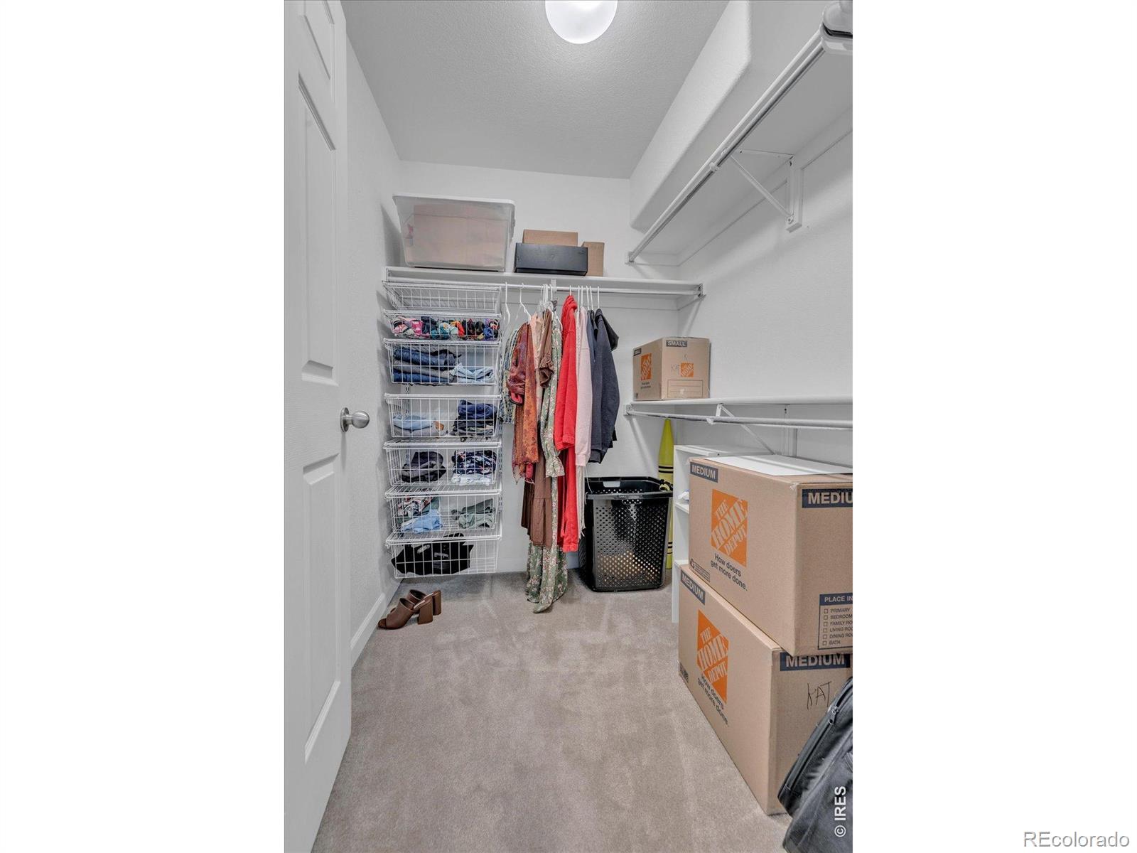 MLS Image #41 for 1628  naples lane,longmont, Colorado